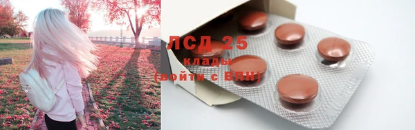 прущие крисы Алзамай