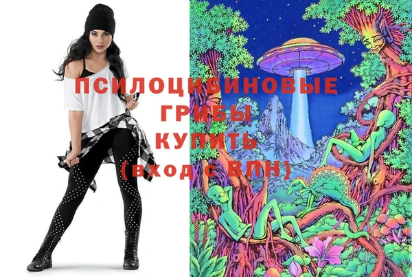 прущие крисы Алзамай
